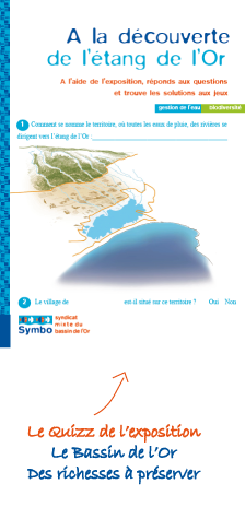 Les oiseaux estivants de l'étang de l'or