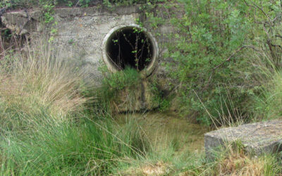 Une étude sur les ruissellements urbains pour connaître les impacts et solutions vis-à-vis de la qualité de l’eau