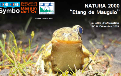 Lettre d’information Natura 2000 – décembre 2023