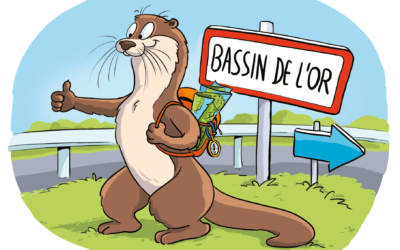 Étude sur la Loutre d’Europe sur le Bassin de l’Or