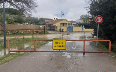 🌧️ Enquête sur l’adaptation des habitants d’Occitanie aux inondations